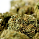 Illustration for article titled Researchers Suggest Smoking Pot Maybe Increases the Risk of Preterm Births